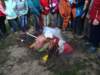 dsc07406_small.jpg