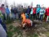 dsc07411_small.jpg