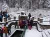 dsc06590_small.jpg