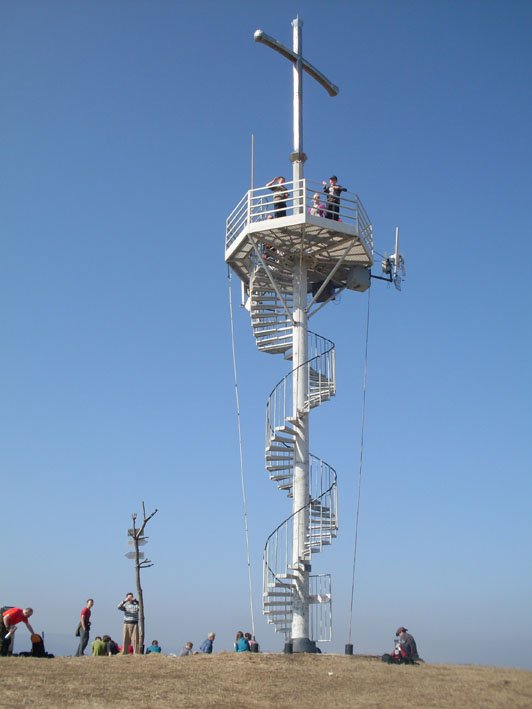 sdc11586.jpg