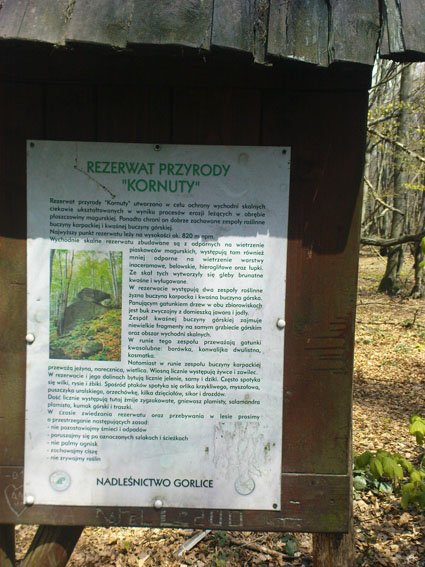 rajdukasiewicza071.jpg
