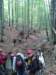 _142158_small.jpg