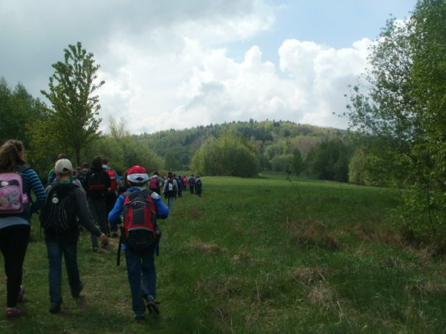 p5080206.jpg