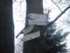 dsc07646_small.jpg