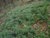 dsc07654_small.jpg