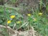 dsc07710_small.jpg