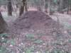 dsc07713_small.jpg