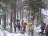 rajdzimowy006_small.jpg