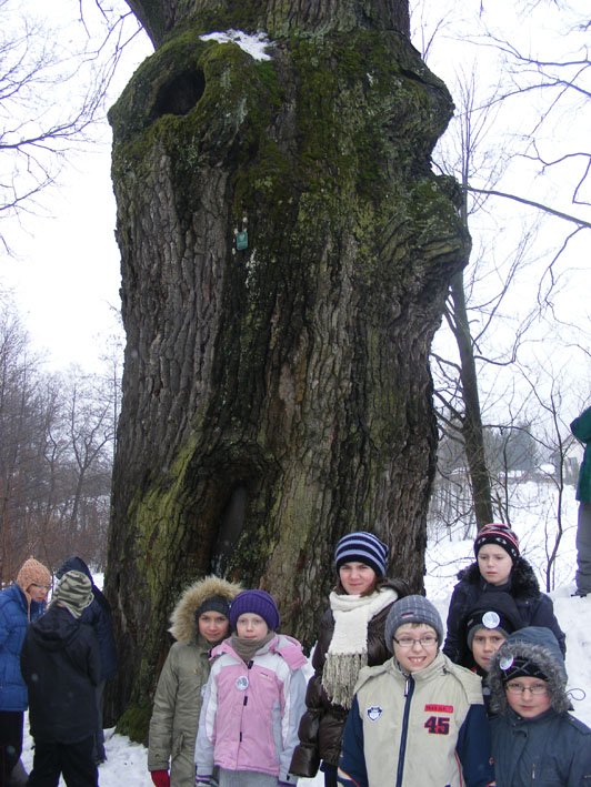 rajdzimowy018.jpg