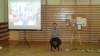 dsc02910_small.jpg