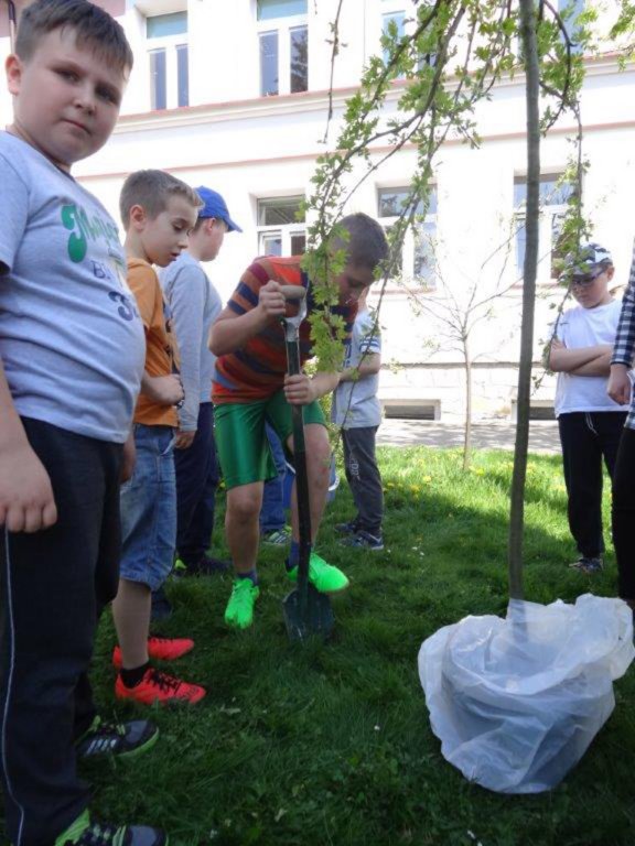 dsc07609.jpg
