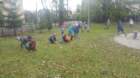 image013_small.jpg