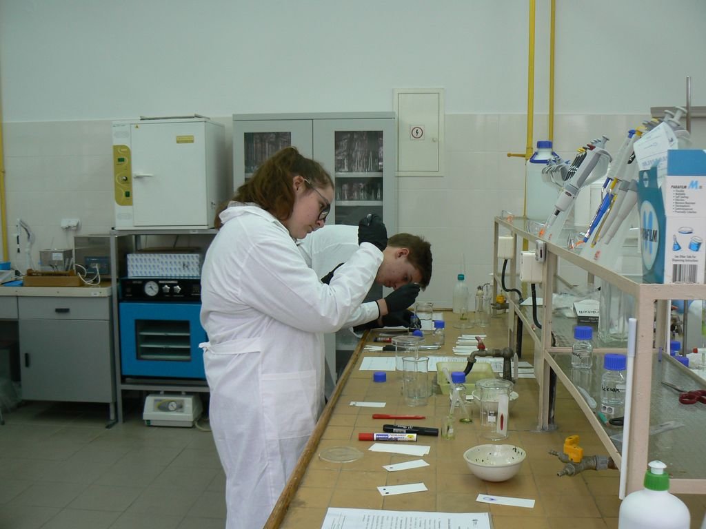 p1140541.jpg