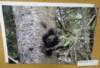 dsc06859_small.jpg