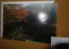 dsc06864_small.jpg