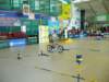 p1150959_small.jpg