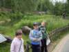 sdc11481_small.jpg