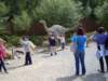 sdc11485_small.jpg