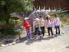 sdc11487_small.jpg