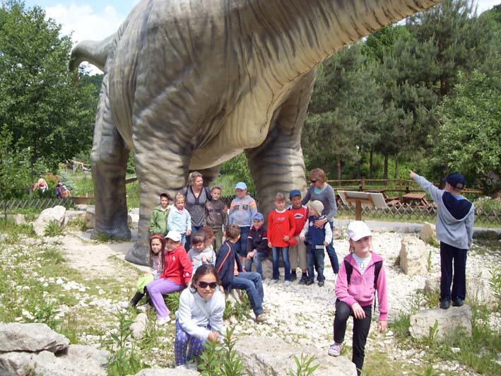 sdc11491.jpg