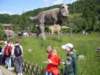 sdc11507_small.jpg