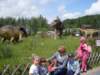 sdc11511_small.jpg