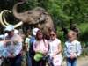 sdc11520_small.jpg