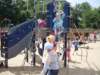 sdc11531_small.jpg