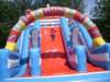 sdc11533_small.jpg