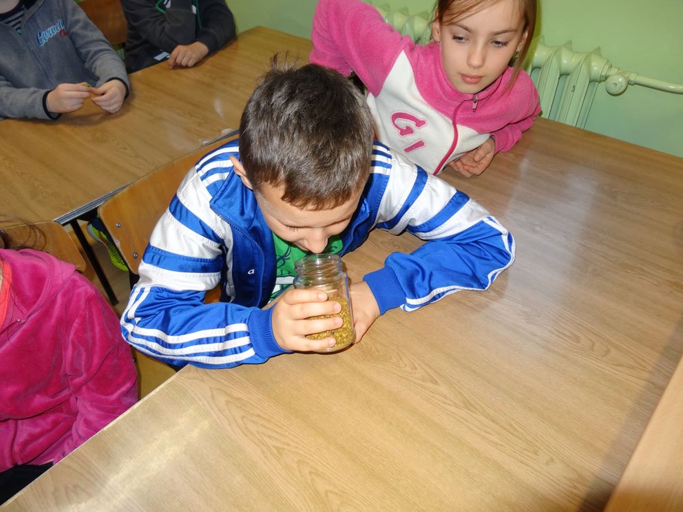 dsc04084.jpg