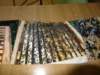 dsc04087_small.jpg