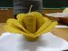dsc04097_small.jpg