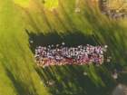 dji_0003_small.jpg