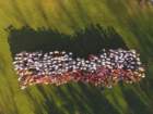 dji_0007_small.jpg