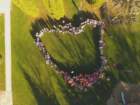dji_0024_small.jpg