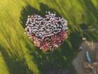 dji_0025_small.jpg