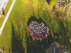 dji_0029_small.jpg