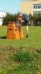 dsc_0134_small.jpg