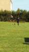 dsc_0136_small.jpg