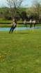 dsc_0143_small.jpg