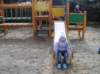 p1010146_small.jpg