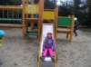 p1010151_small.jpg