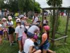 img_20190616_124358_small.jpg