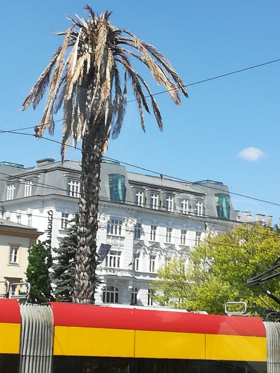 img_20190605_135414.jpg