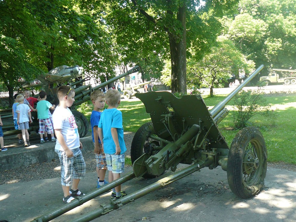 wstawi_15.jpg