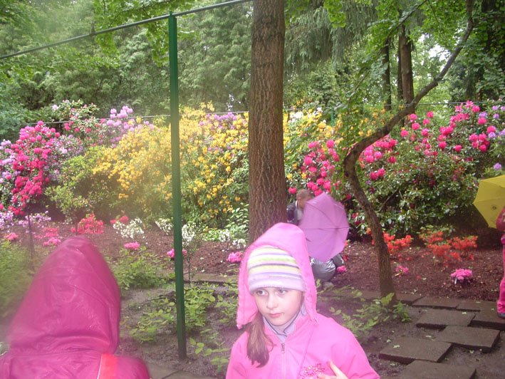 dscf3392.jpg