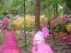 dscf3392_small.jpg