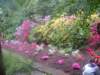 dscf3393_small.jpg
