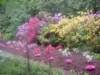 dscf3396_small.jpg