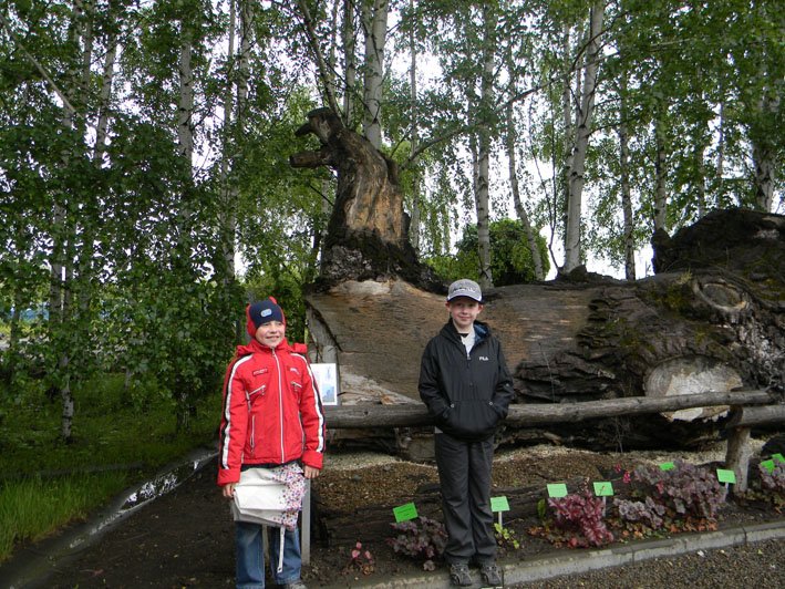 dscn1778.jpg
